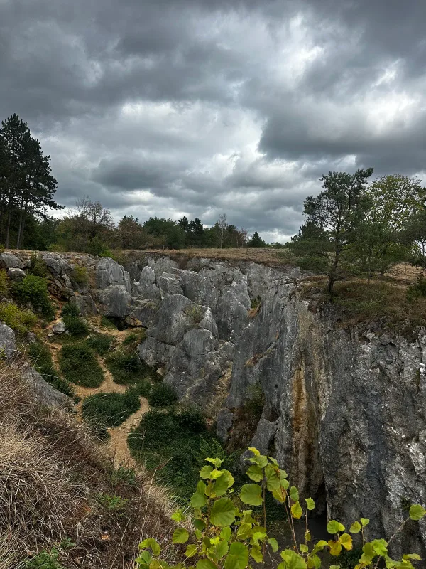 Parois rocheuses, arbres et ciel nuageux photographiés pendant la randonnée.