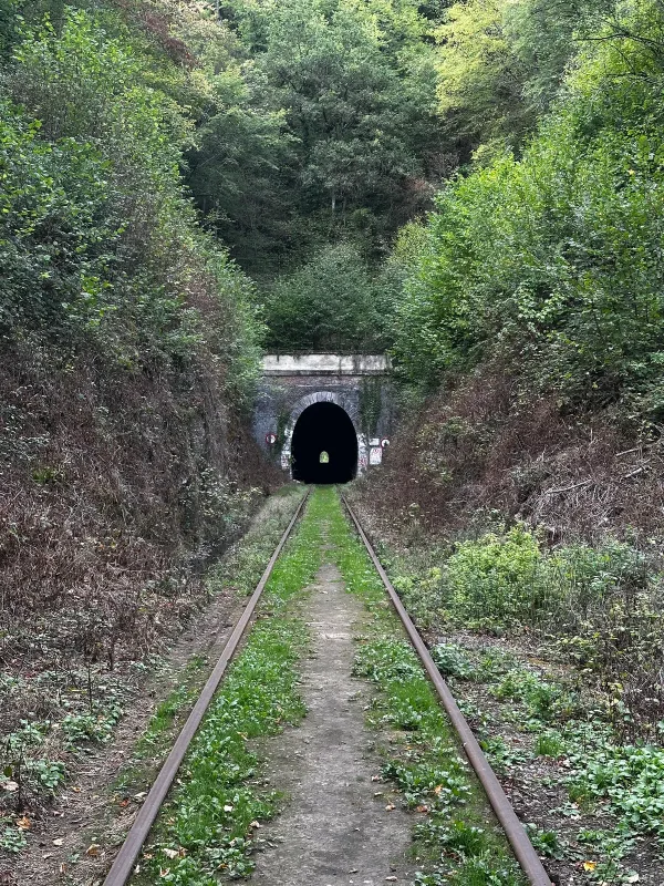 Entrée d’un tunnel ferroviaire entourée de végétation dense.